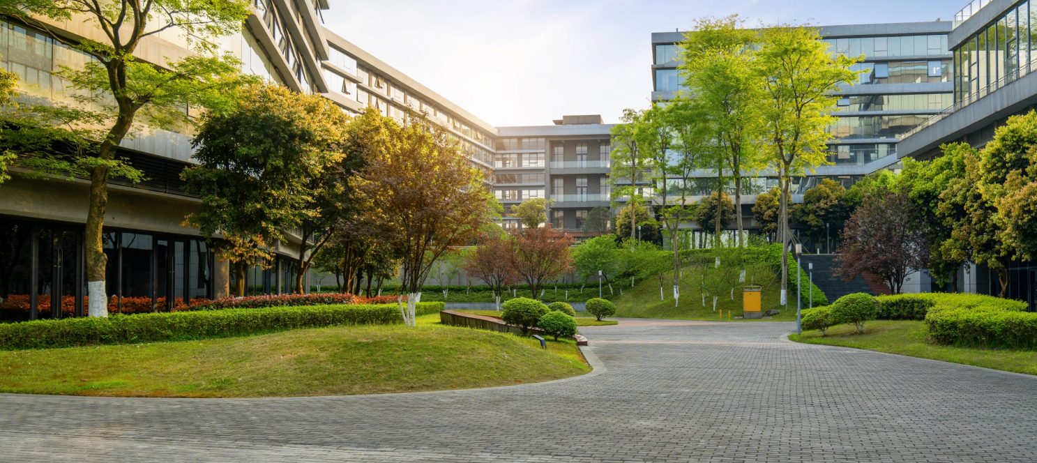 Entretien des espaces verts pour les professionnels