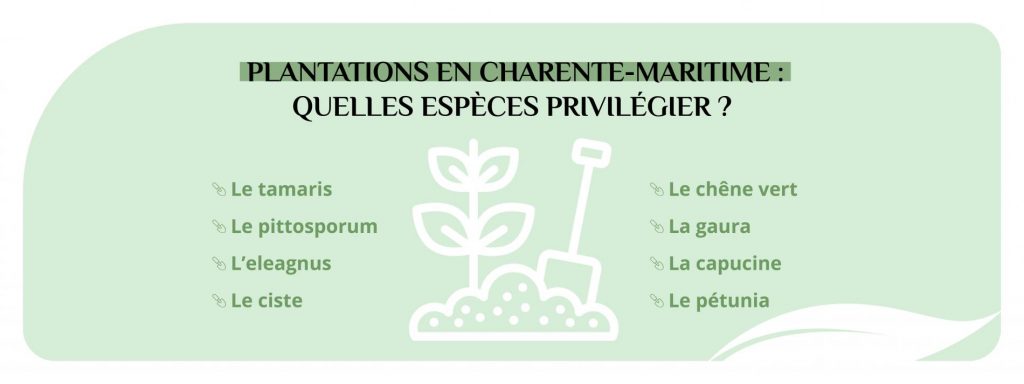 Les plantations en Charente Maritime les plus communes
