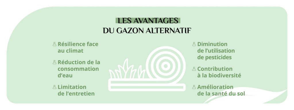 Les intérêts du gazon alternatif