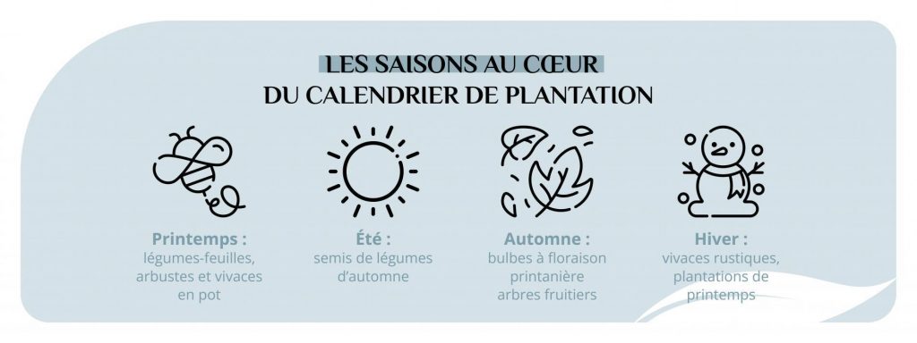 Les types de plantation selon les saisons