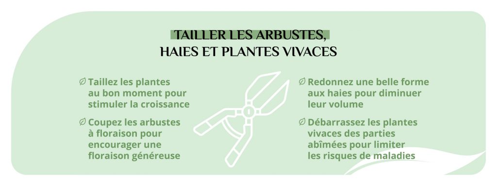 Tailler ses arbustes pour entretenir son jardin
