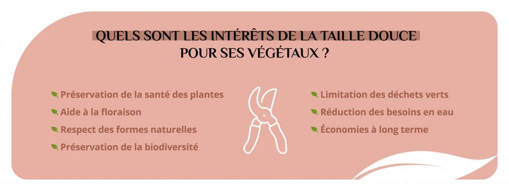 Les intérêts de la taille raisonnée pour les végétaux