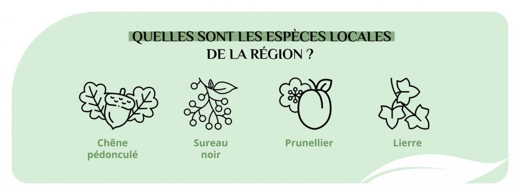 Les espèces locales de la Charente Maritime