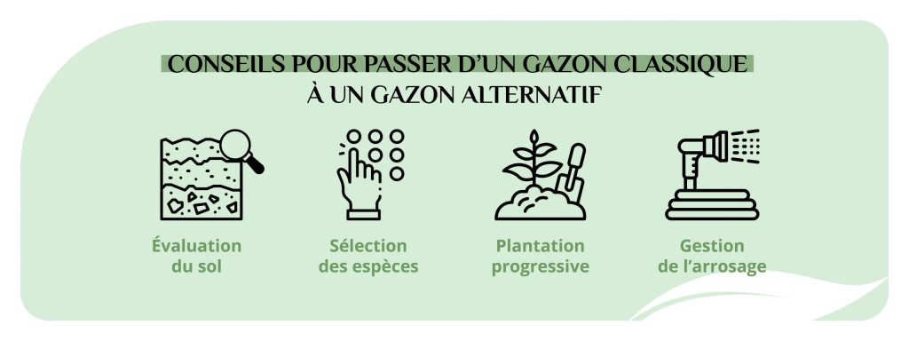 Conseils pour transformer un gazon classique en gazon alternatif