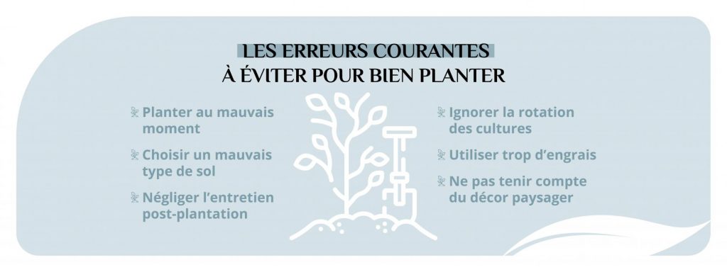 Les erreurs à éviter pour réussir ses plantations au jardin