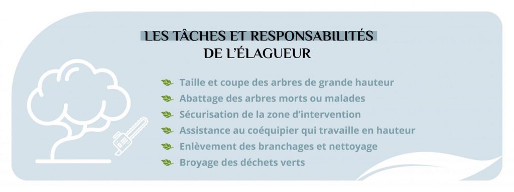 L'élagueur grimpeur, un spécialiste en entretien des arbres