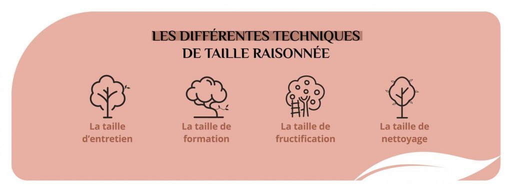 Les différentes techniques de tailles douce
