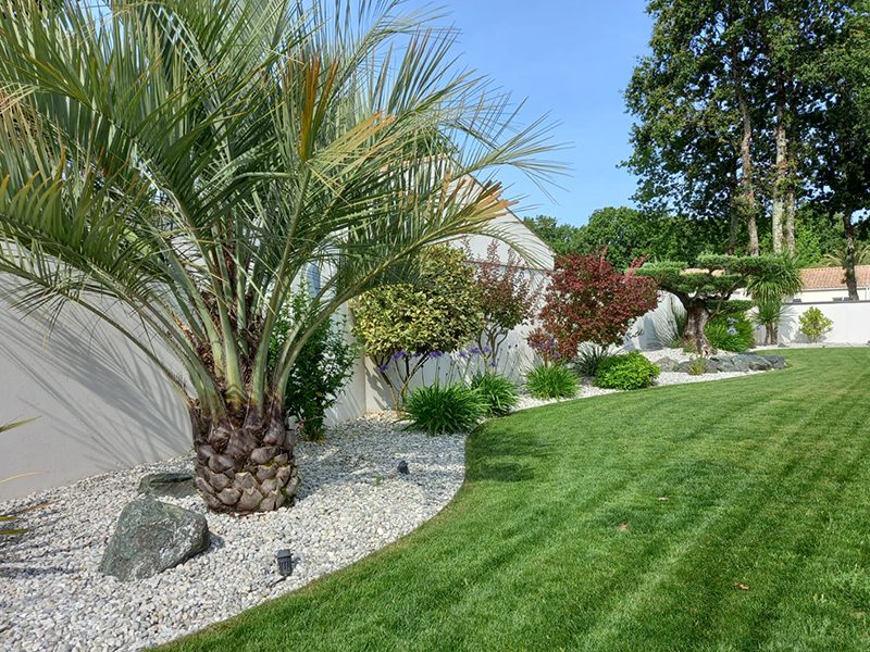 Comment remettre en état son jardin ?