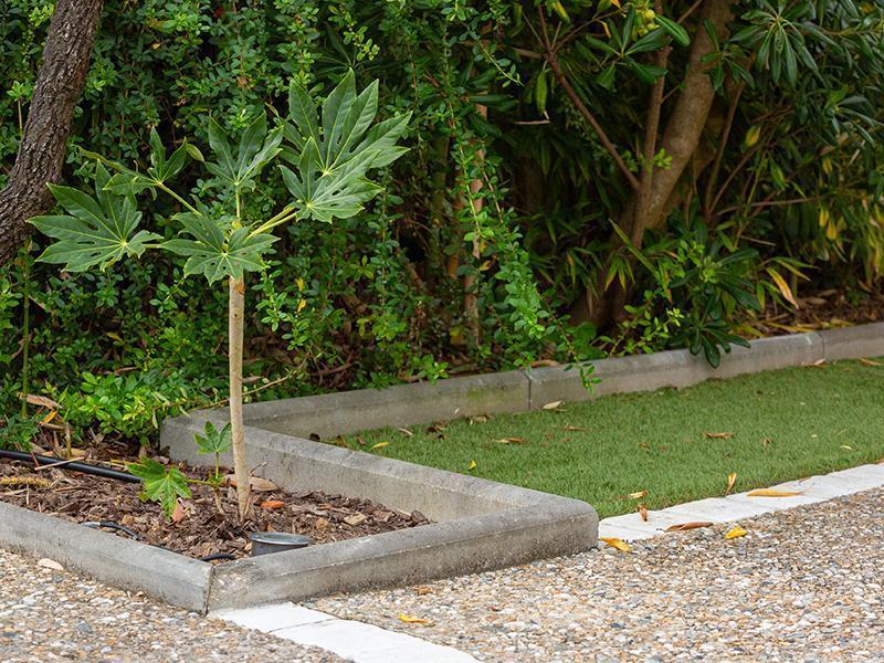 Les plantations au jardin : nos conseils pour savoir quoi et quand planter
