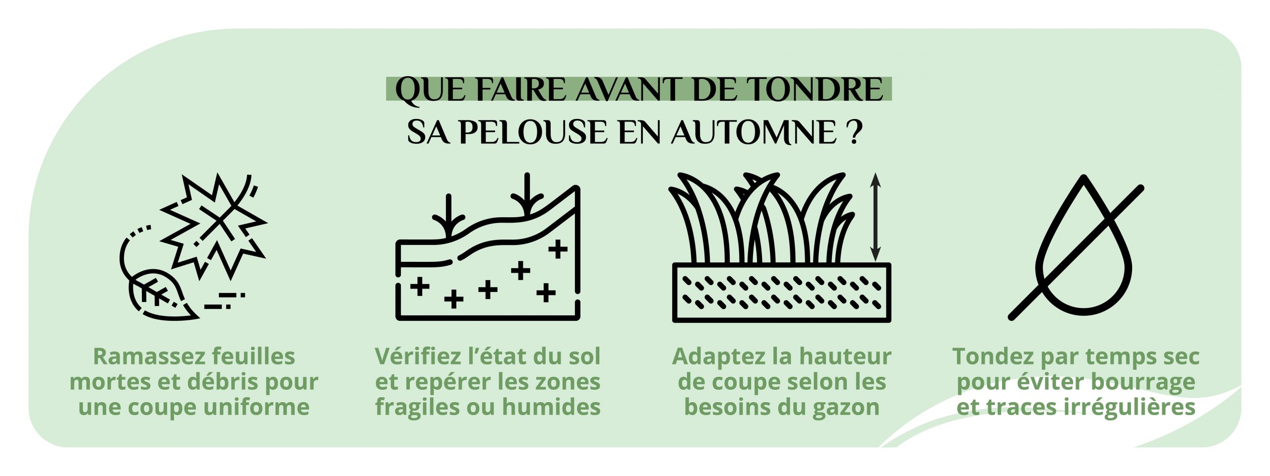Les actions à faire au jardin avant de tondre sa pelouse