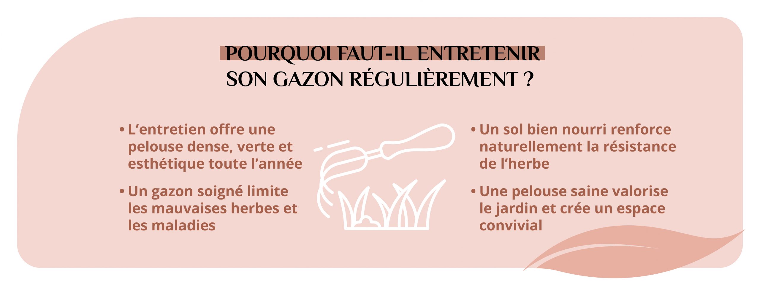 Les avantages d'entretenir son gazon régulièrement