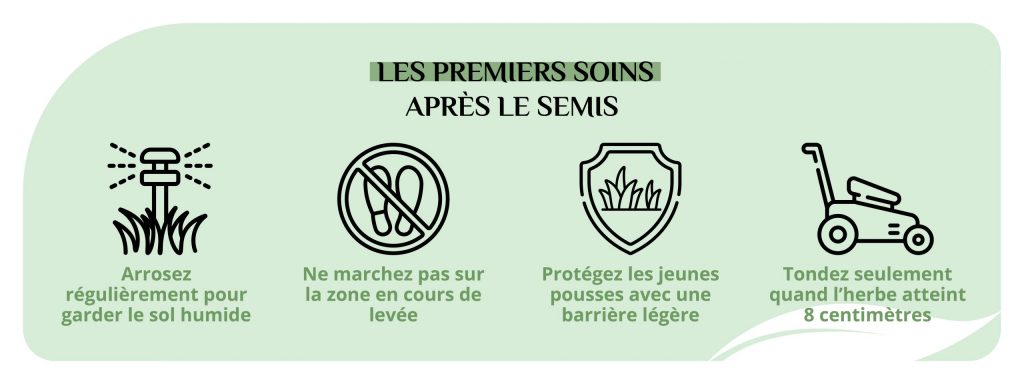 L'entretien du gazon après le semis