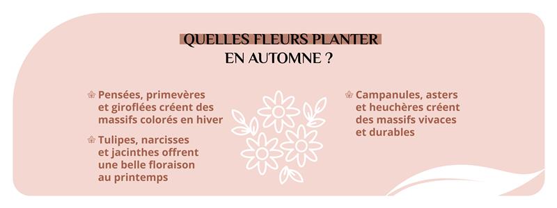 Que planter en automne dans son jardin ? Les différentes essences de fleurs