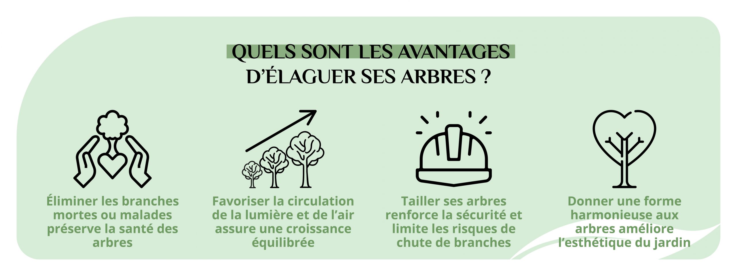 Les intérêts d'élaguer les arbres de son jardin