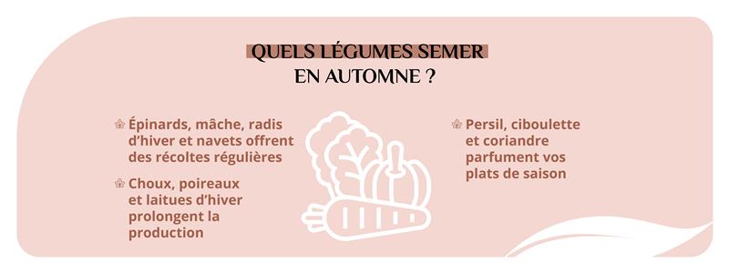 Les légumes à planter dans son potager en automne