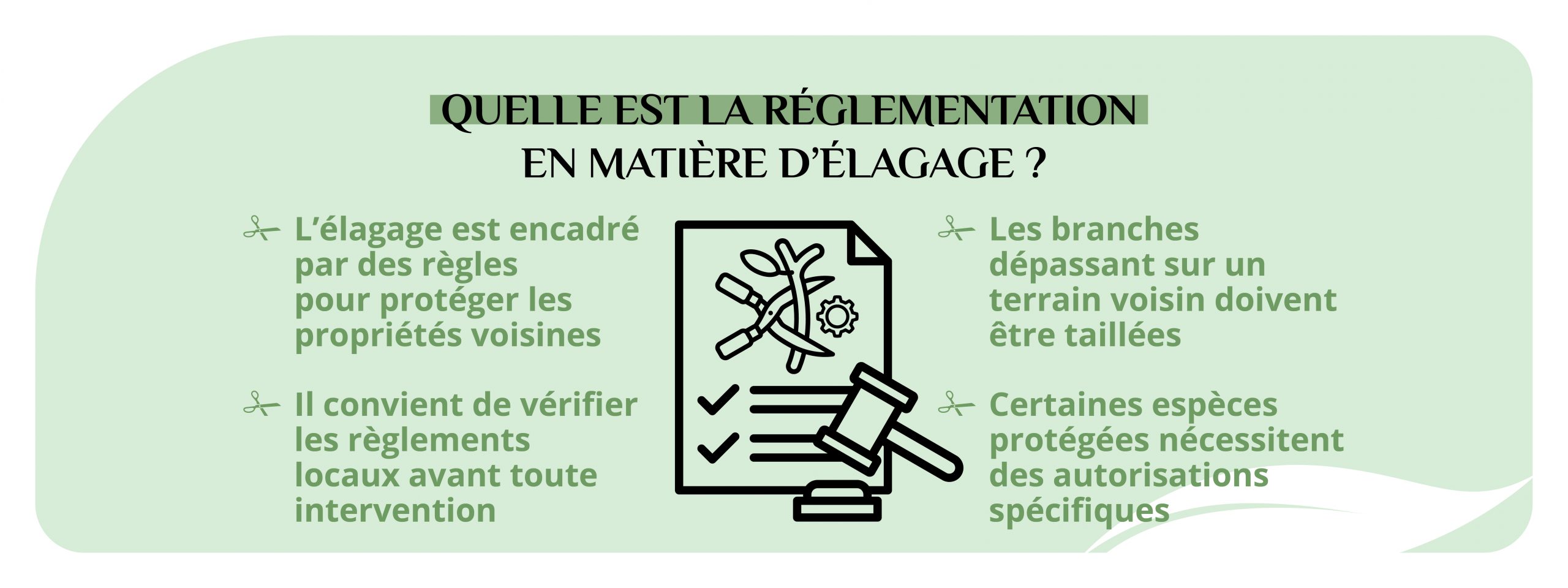 Les réglementations en matière d'élagage des arbres