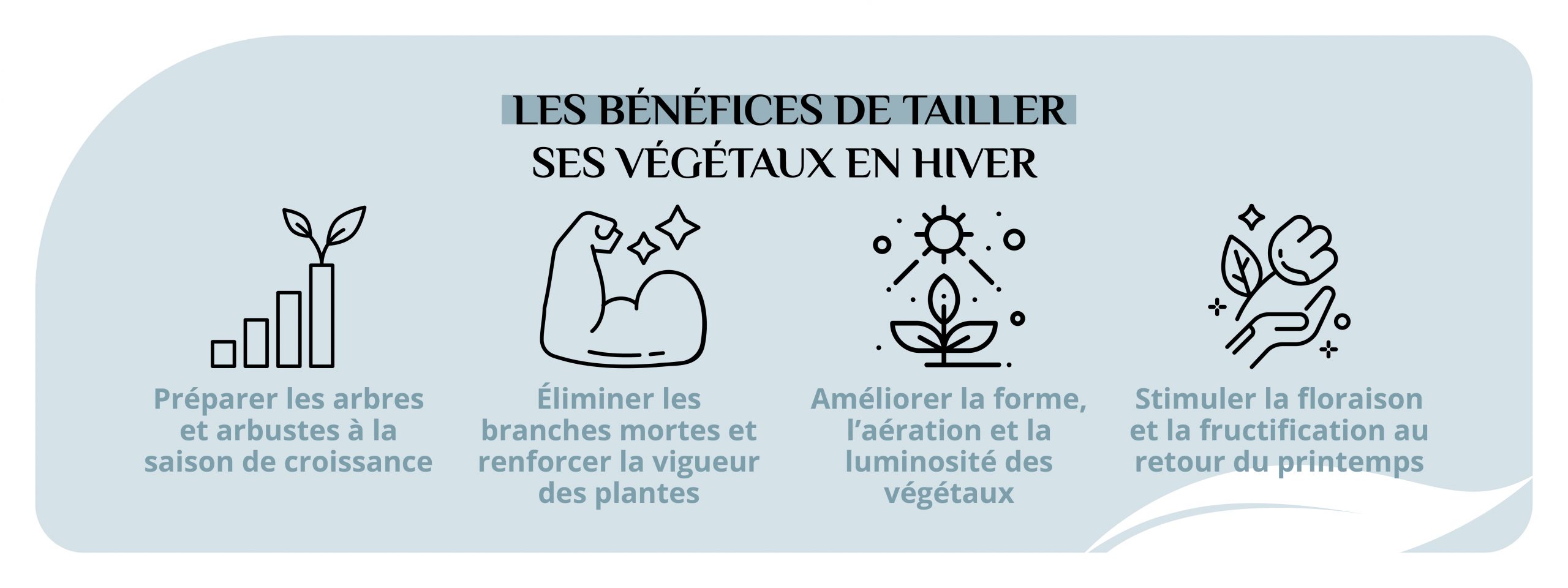 Infographie précisant les intérêts de la taille d'hiver pour le jardin