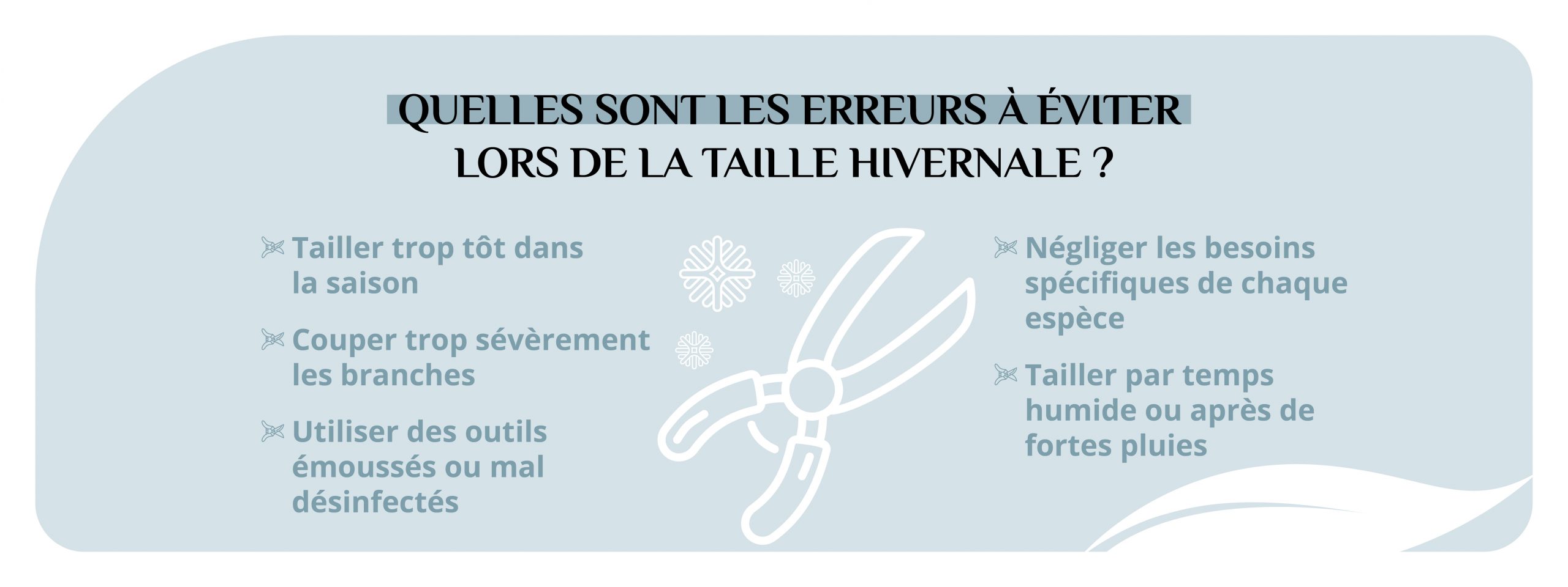 Infographie détaillant les erreurs à éviter lors de la taille hivernale