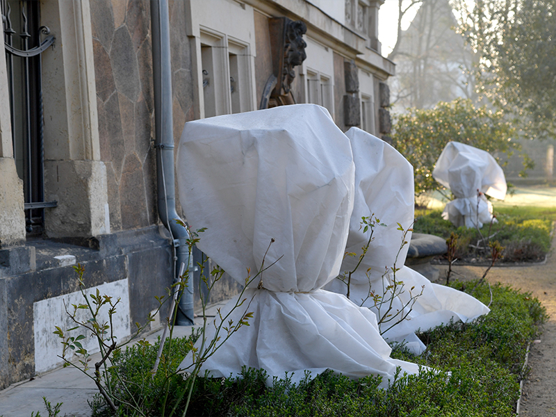 L’hivernage du jardin : tout savoir pour protéger ses végétaux du froid