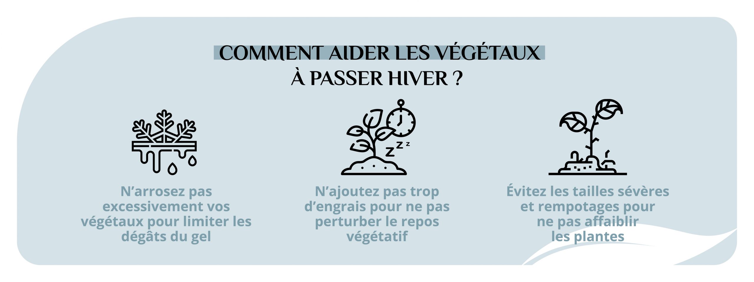 Infographie présicant comment protéger ss végétaux l'hiver