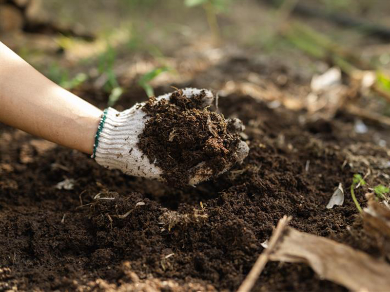 Tout savoir sur l’amendement du sol pour favoriser la beauté et santé de votre jardin
