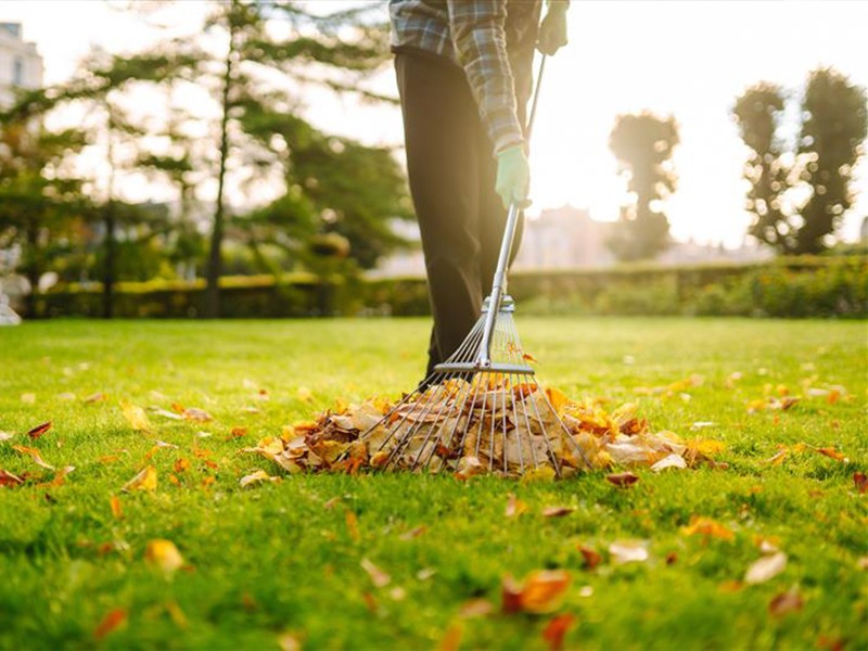 Le nettoyage du jardin en fin d&rsquo;hiver : 6 tâches essentielles pour le remettre au propre