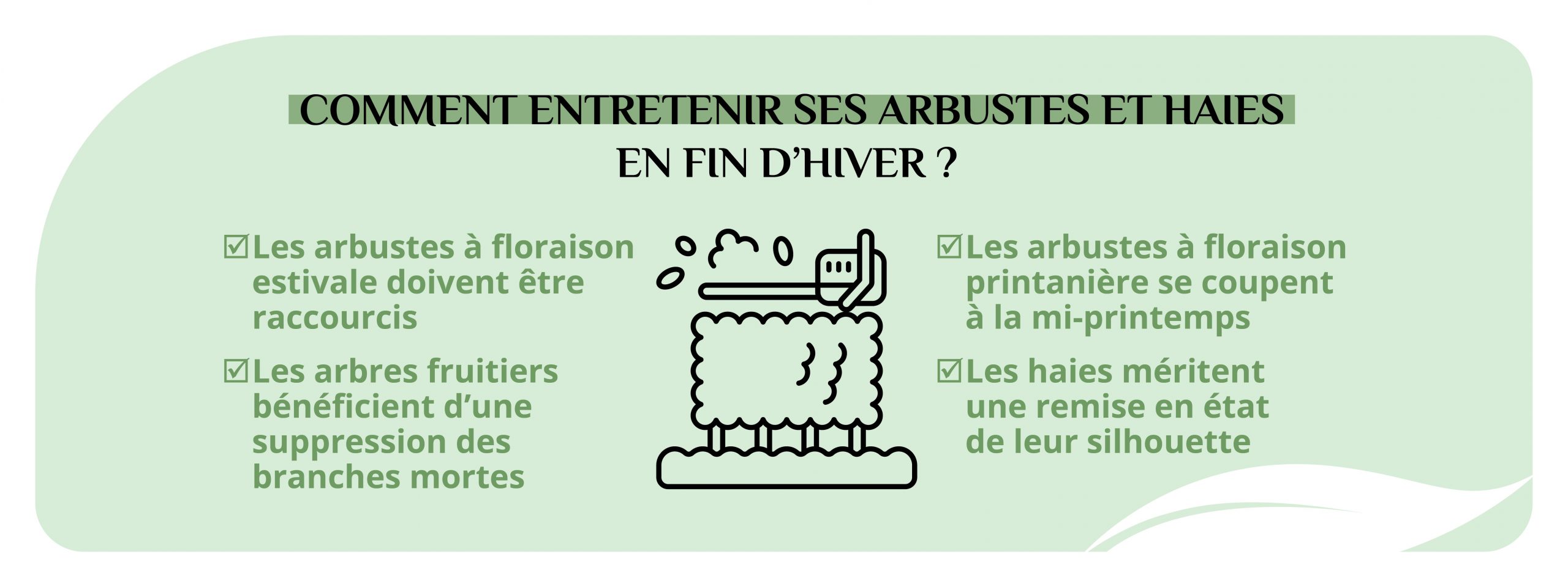 astuces pour entretenir ses arbres, arbustes et haies en fin d’hiver