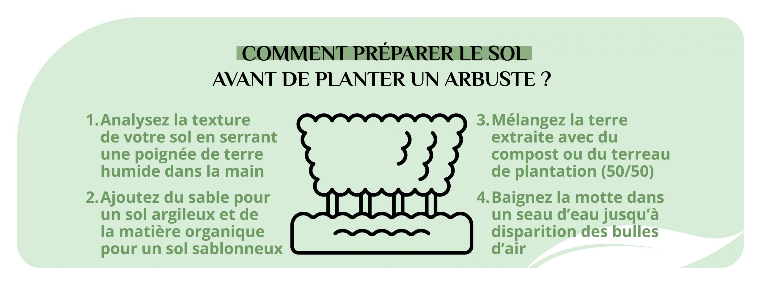 conseils pour préparer le sol avant de planter un arbuste