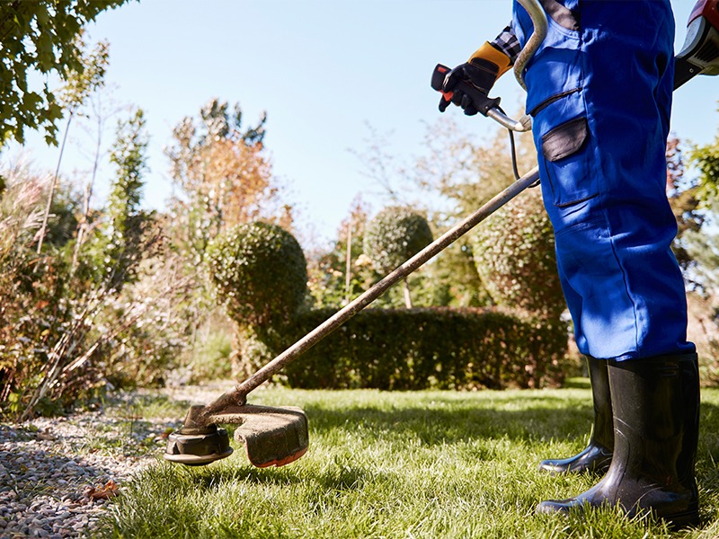 Débroussaillage du jardin : comment protéger votre bien des incendies ?