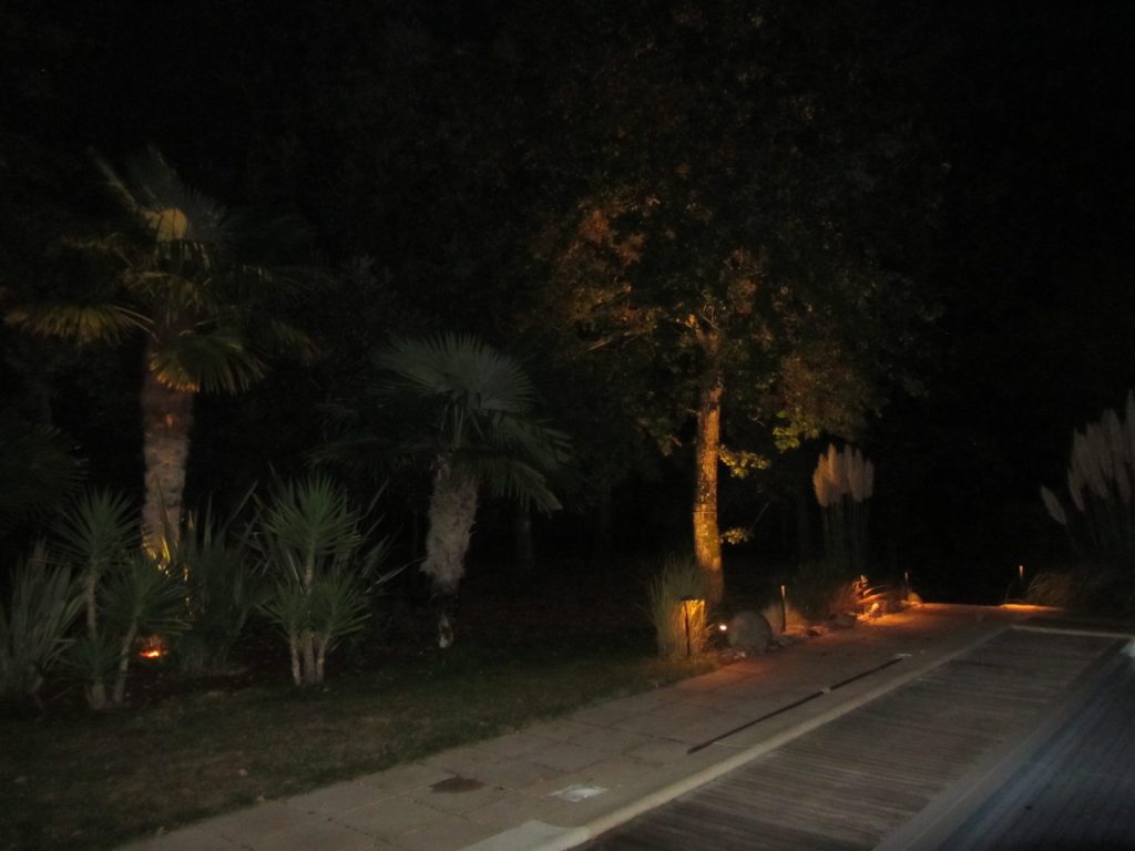 éclairage jardin allée végétaux projecteur mise en valeur nuit