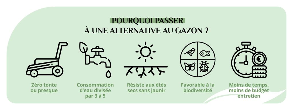 avantages alternatives au gazon jardin sans entretien Charente-Maritime