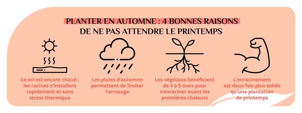 avantages planter en automne enracinement jardin résistant sécheresse Charente-Maritime