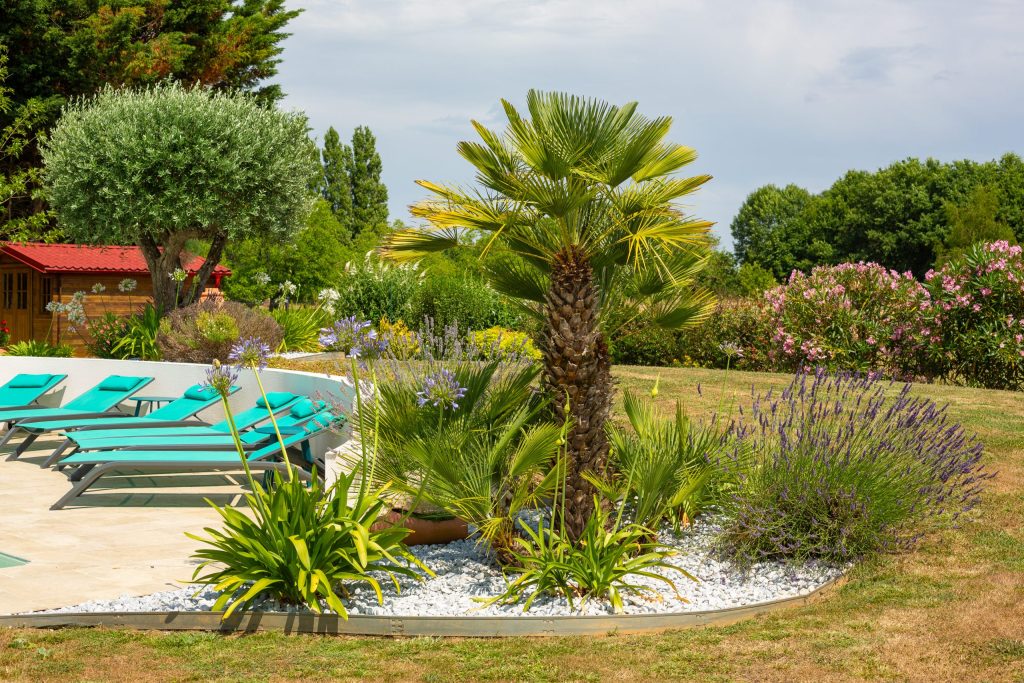 lavande bord de piscine jardin paysagiste